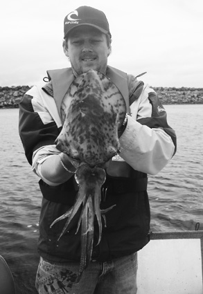 The Apollo Bay harbour has been producing plenty of quality calamari recently.